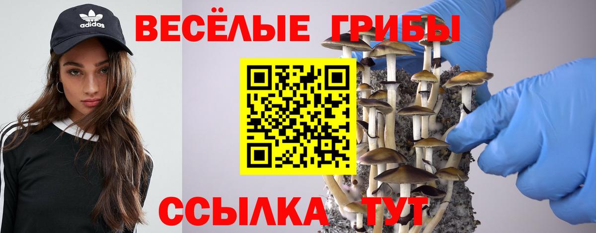 Галлюциногенные грибы Psilocybe  Псилоцибиновые грибы прущие грибы  Вход с VPN  Саратов 